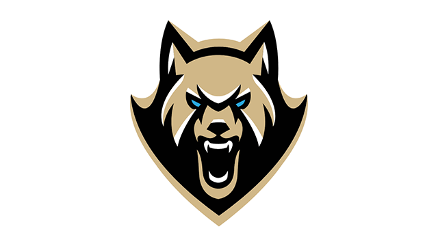 More Info for Bandits vs. FireWolves
