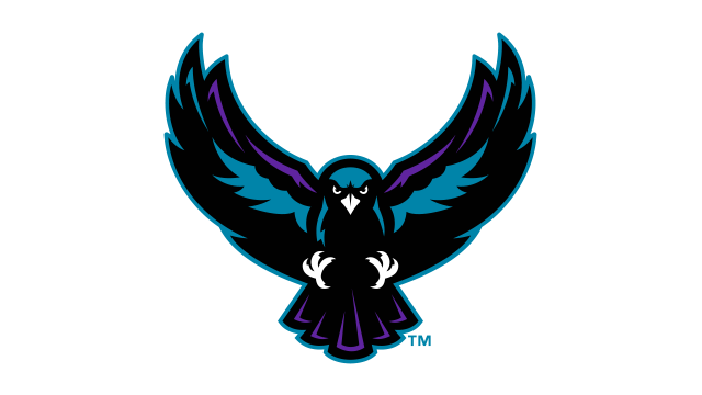 More Info for Bandits vs. Knighthawks